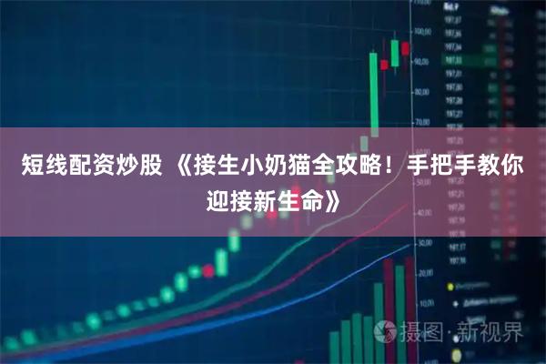 短线配资炒股 《接生小奶猫全攻略！手把手教你迎接新生命》