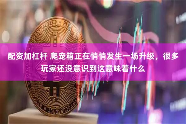 配资加杠杆 爬宠箱正在悄悄发生一场升级，很多玩家还没意识到这意味着什么