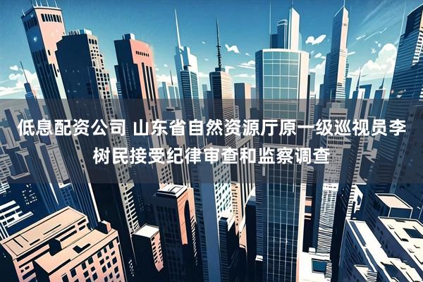 低息配资公司 山东省自然资源厅原一级巡视员李树民接受纪律审查和监察调查